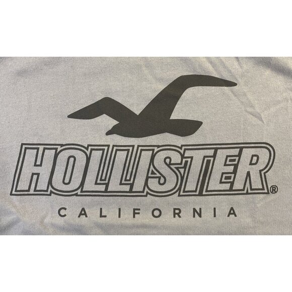 Blue Medium Hollister California Logo Short Sleeve Moisture Wicking T-Shirt - Picture 1 of 6